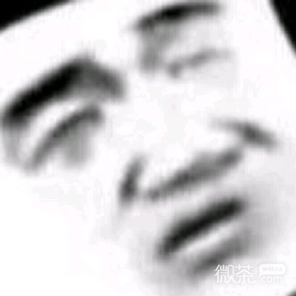 夸张哦恶搞群聊杂图微信表情包
