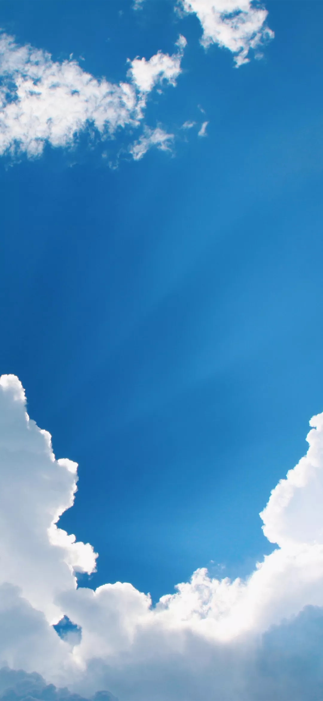 及时行乐手机壁纸