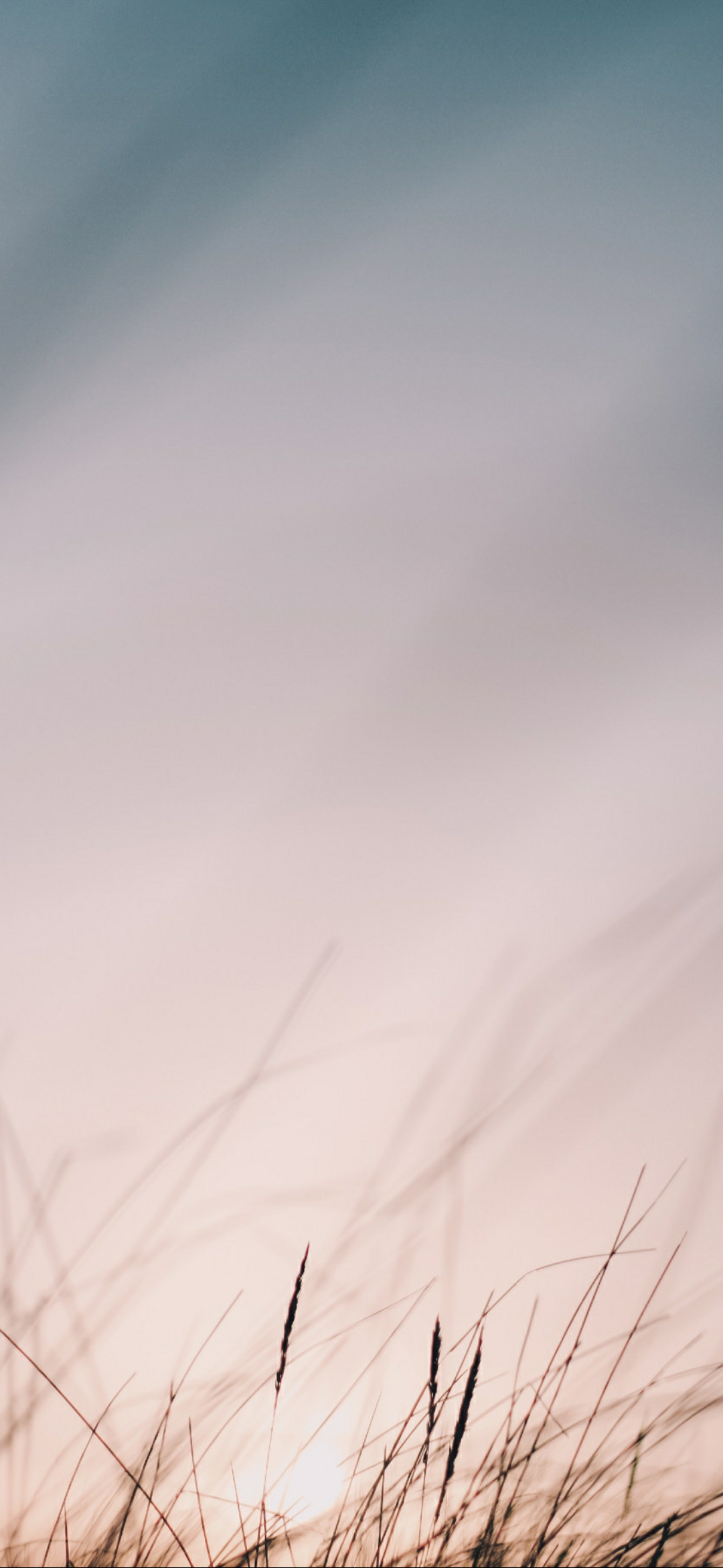 及时行乐手机壁纸