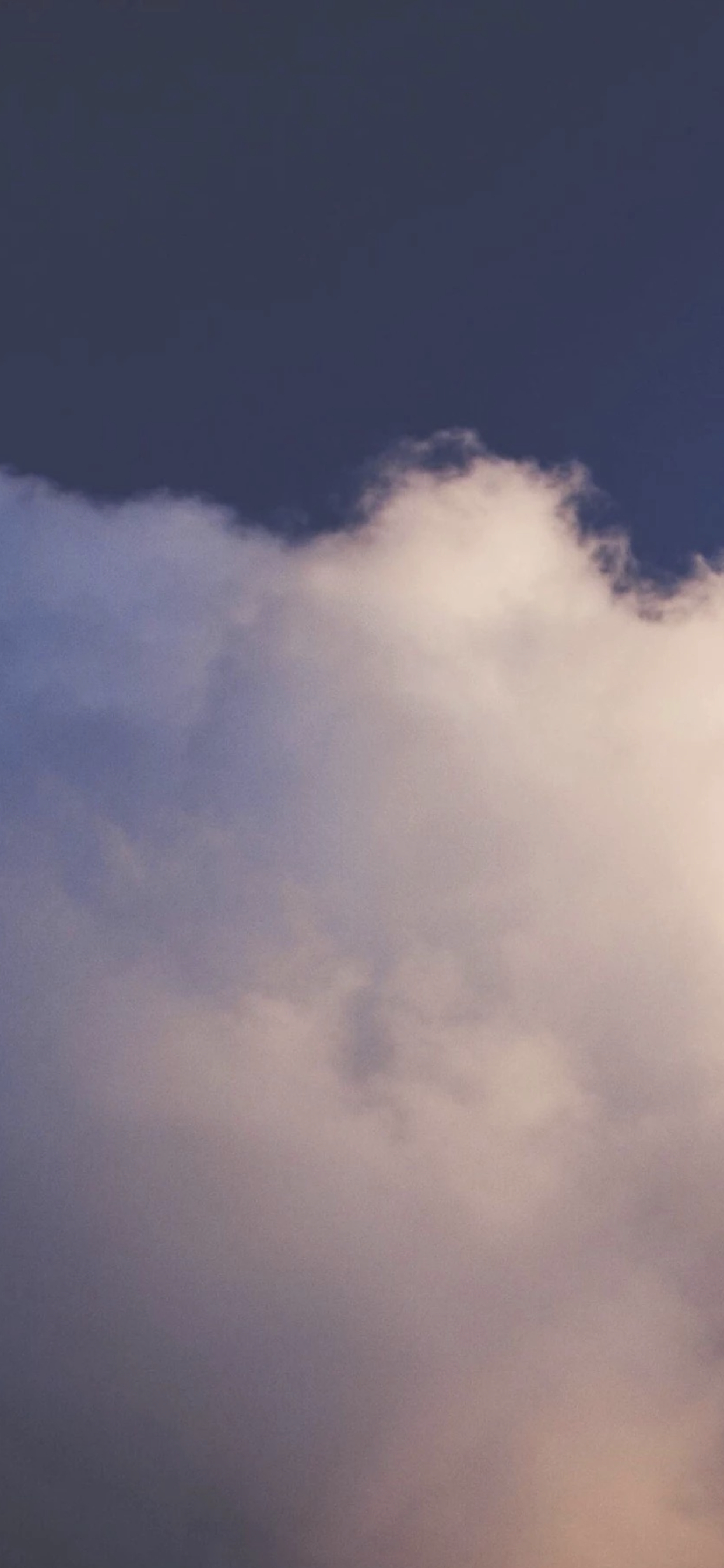 及时行乐手机壁纸