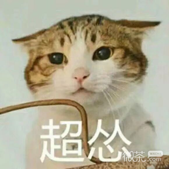 无语微信恶搞逗比傻屌群聊杂图表情包