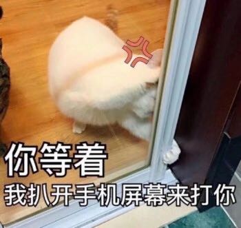 无语微信恶搞逗比傻屌群聊杂图表情包