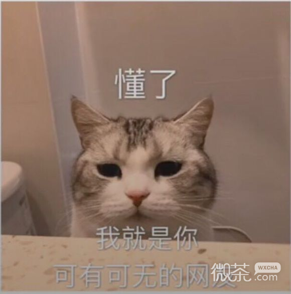 死掉微信恶搞群聊杂图表情包