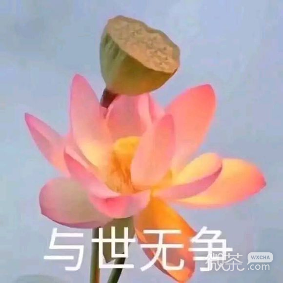 死掉微信恶搞群聊杂图表情包