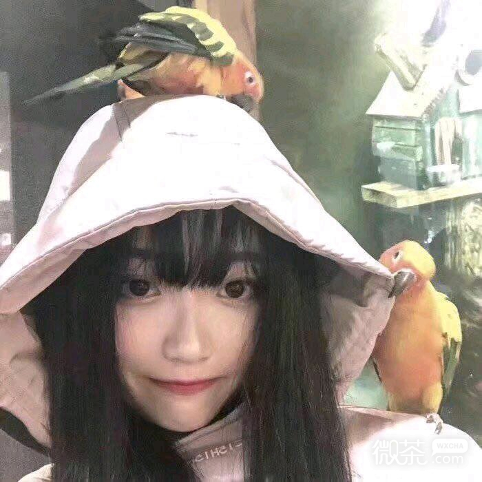 微信小清新阳光女头