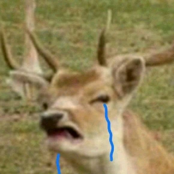 告辞恶搞群聊杂图微信表情包