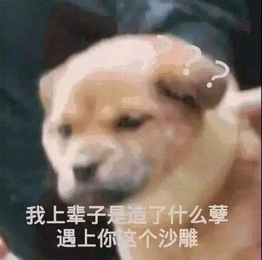 告辞恶搞群聊杂图微信表情包