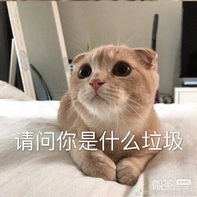 可爱搞笑情侣聊天专用微信表情包下载