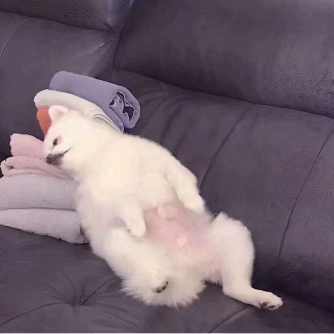 微信丧系孤独朋友圈配图