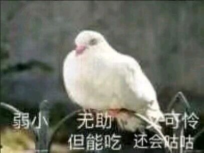 花里胡俏微信搞怪群聊杂图表情包