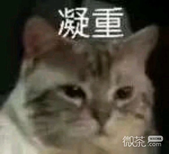 花里胡俏微信搞怪群聊杂图表情包