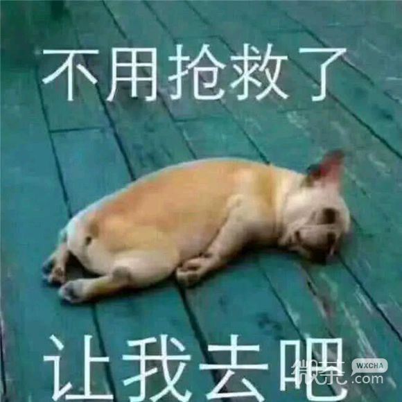 告辞恶搞群聊杂图微信表情包