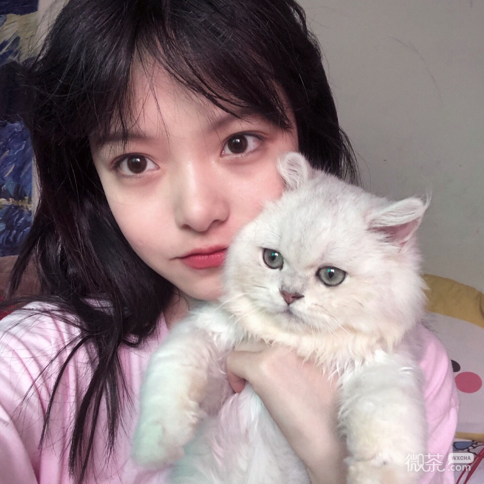 微信性感清纯阳光女头