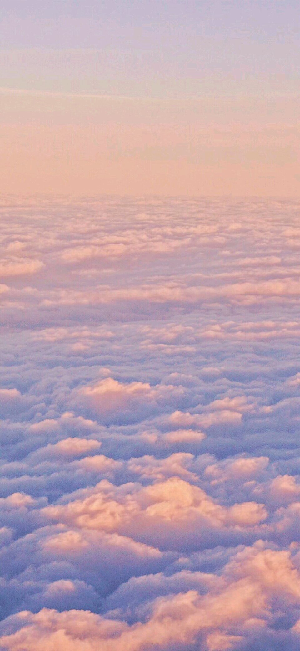 清新好看风景静物手机壁纸