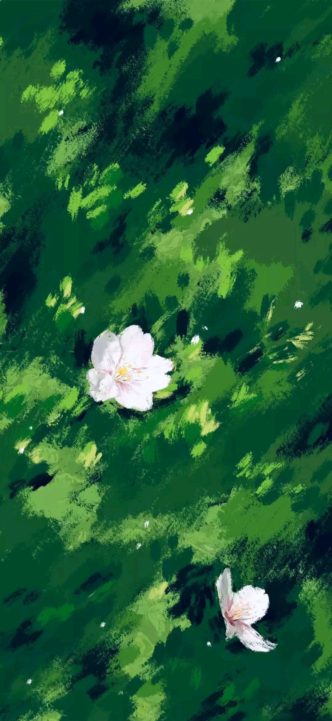 清新好看风景静物手机壁纸