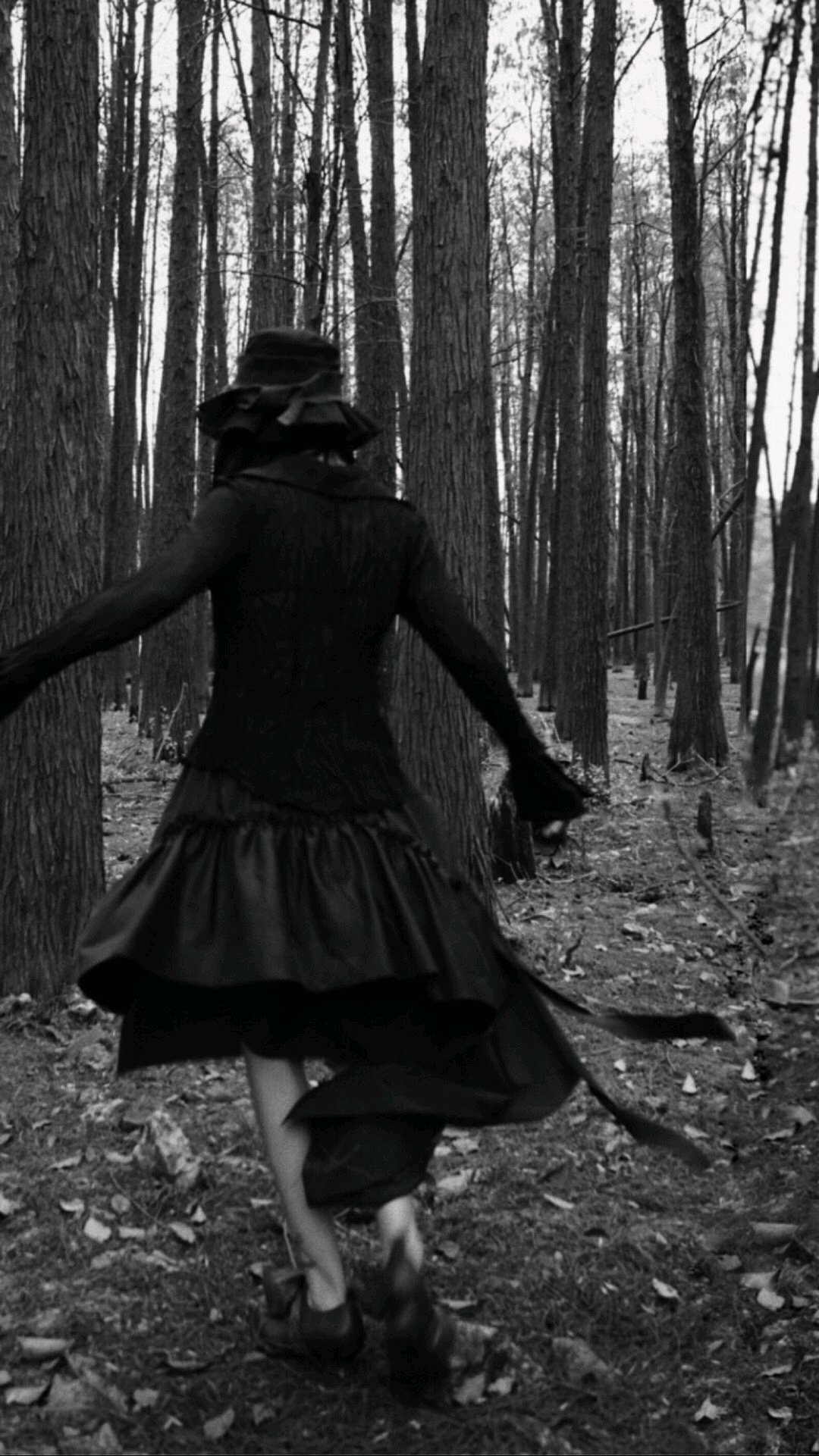 清新好看风景静物手机壁纸