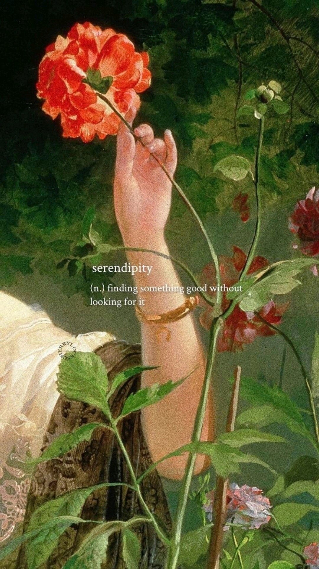 清新好看风景静物手机壁纸