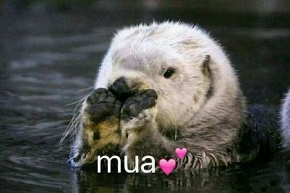 真恶心微信恶搞群聊杂图表情包