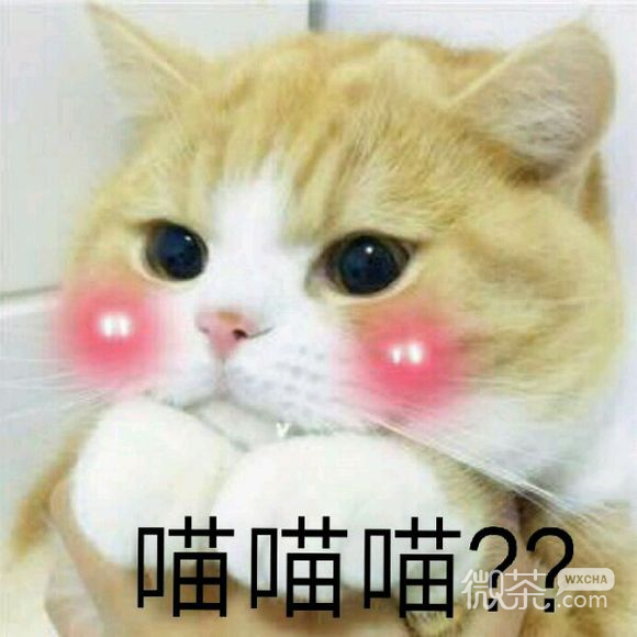 微信近期斗图恶搞表情包2019/7/7（二）