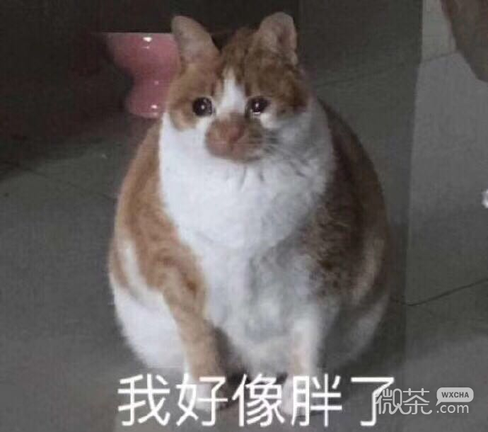 开心死了微信恶搞表情包