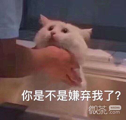开心死了微信恶搞表情包