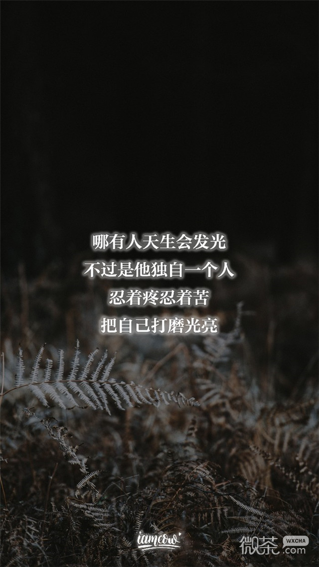 唯美励志微信暖心文字图片下载