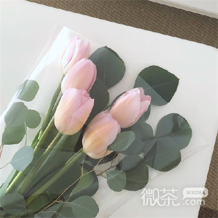 唯美清新微信白色背景图片下载