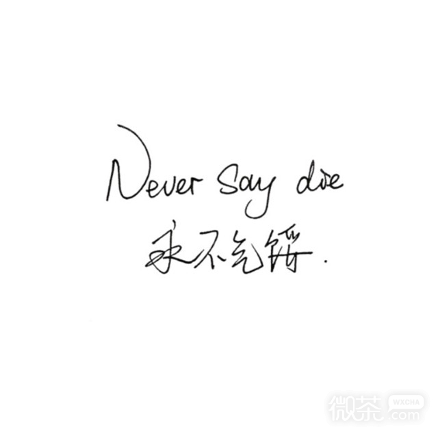 唯美励志微信暖心文字图片下载
