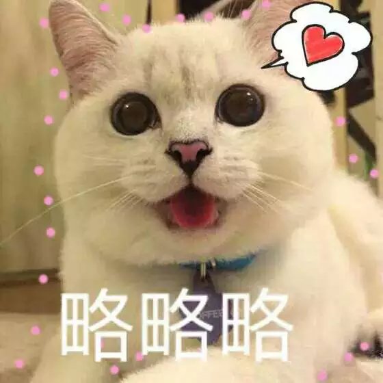 可爱萌萌哒的喵星人系列微信图片下载