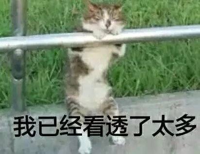 可爱萌萌哒的喵星人系列微信图片下载