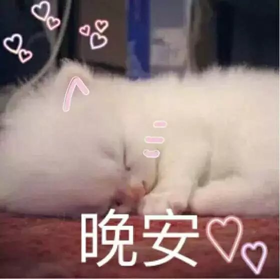 可爱萌萌哒的喵星人系列微信图片下载