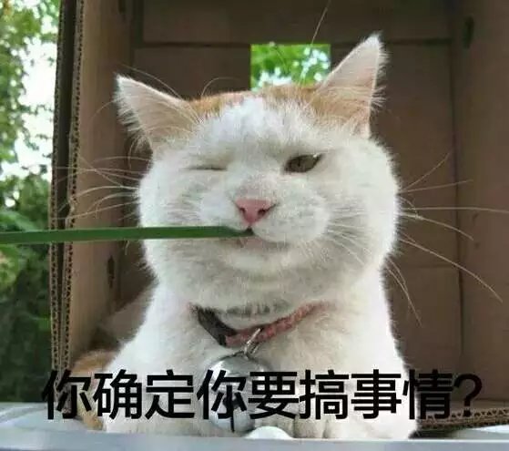 可爱萌萌哒的喵星人系列微信图片下载