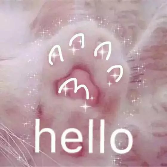 可爱萌萌哒的喵星人系列微信图片下载