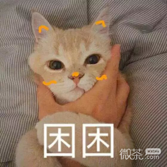 可爱萌萌哒的喵星人系列微信图片下载
