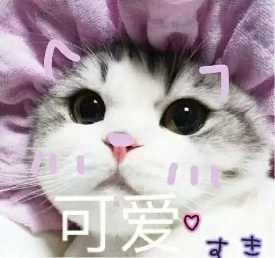 可爱萌萌哒的喵星人系列微信图片下载