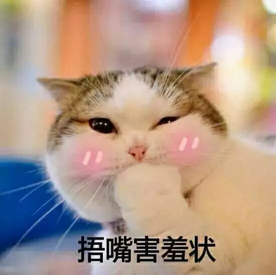 可爱萌萌哒的喵星人系列微信图片下载