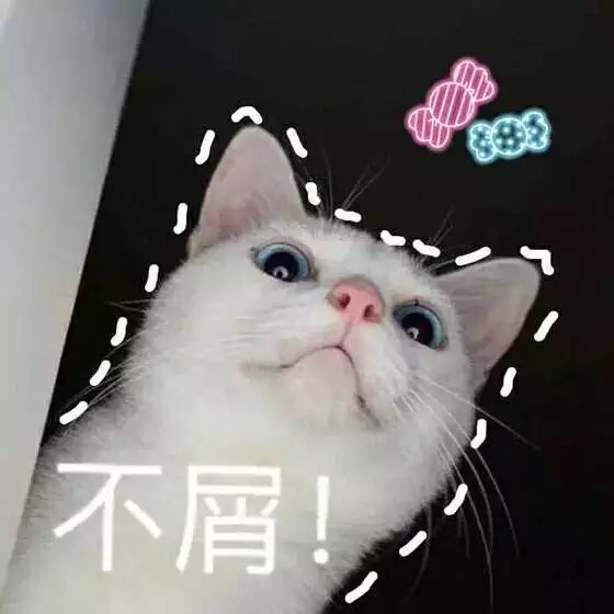 可爱萌萌哒的喵星人系列微信图片下载