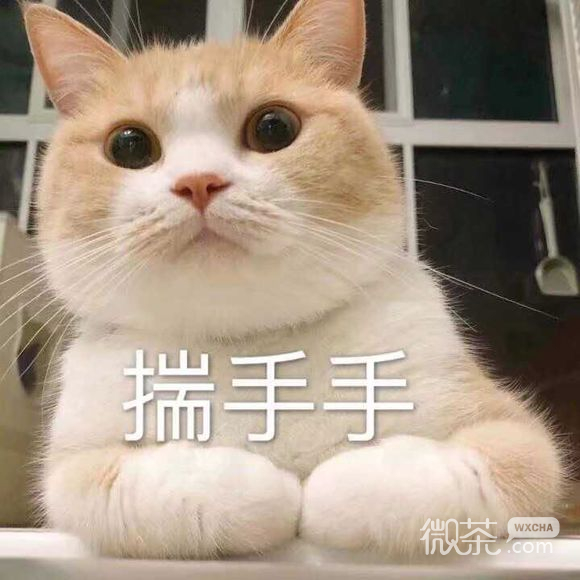 嫌弃微信恶搞群聊杂图表情包