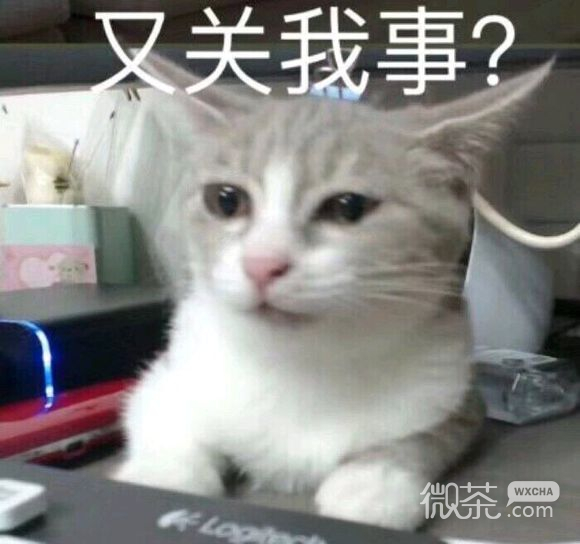 嫌弃微信恶搞群聊杂图表情包