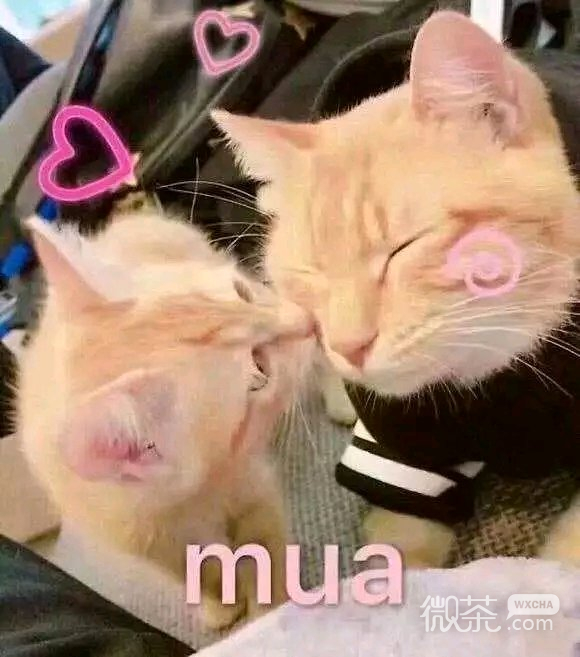 微信近期斗图恶搞表情包2019/7/9