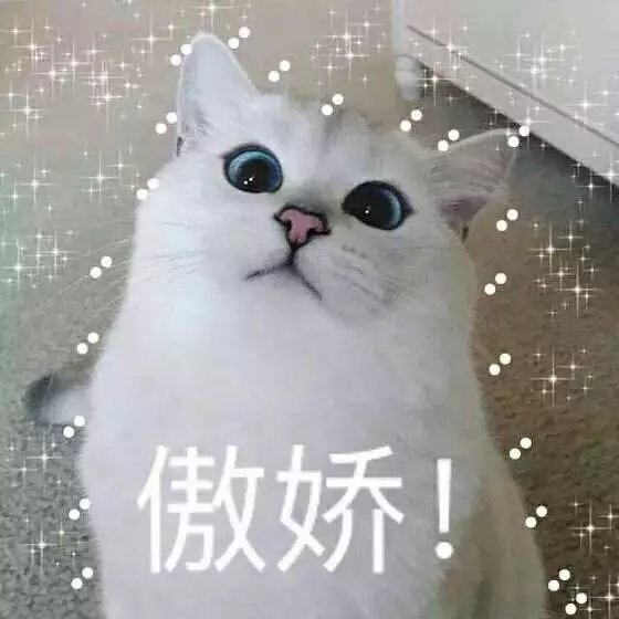 可爱萌萌哒的喵星人系列微信图片下载