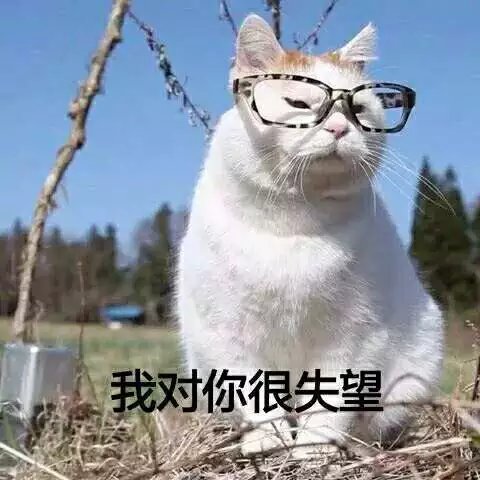 可爱萌萌哒的喵星人系列微信图片下载