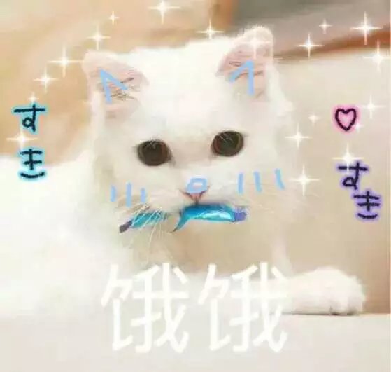 可爱萌萌哒的喵星人系列微信图片下载