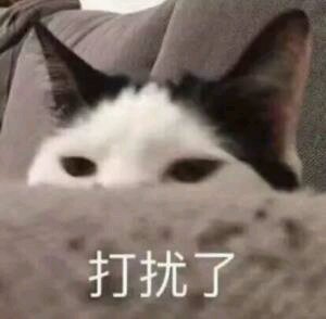无奈微信恶搞群聊杂图表情包