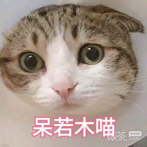 无奈微信恶搞群聊杂图表情包