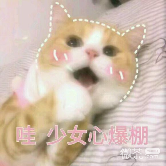 无奈微信恶搞群聊杂图表情包