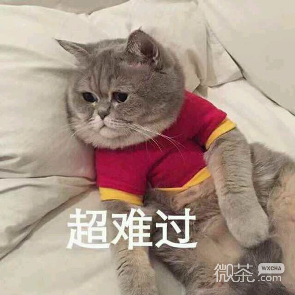无奈微信恶搞群聊杂图表情包