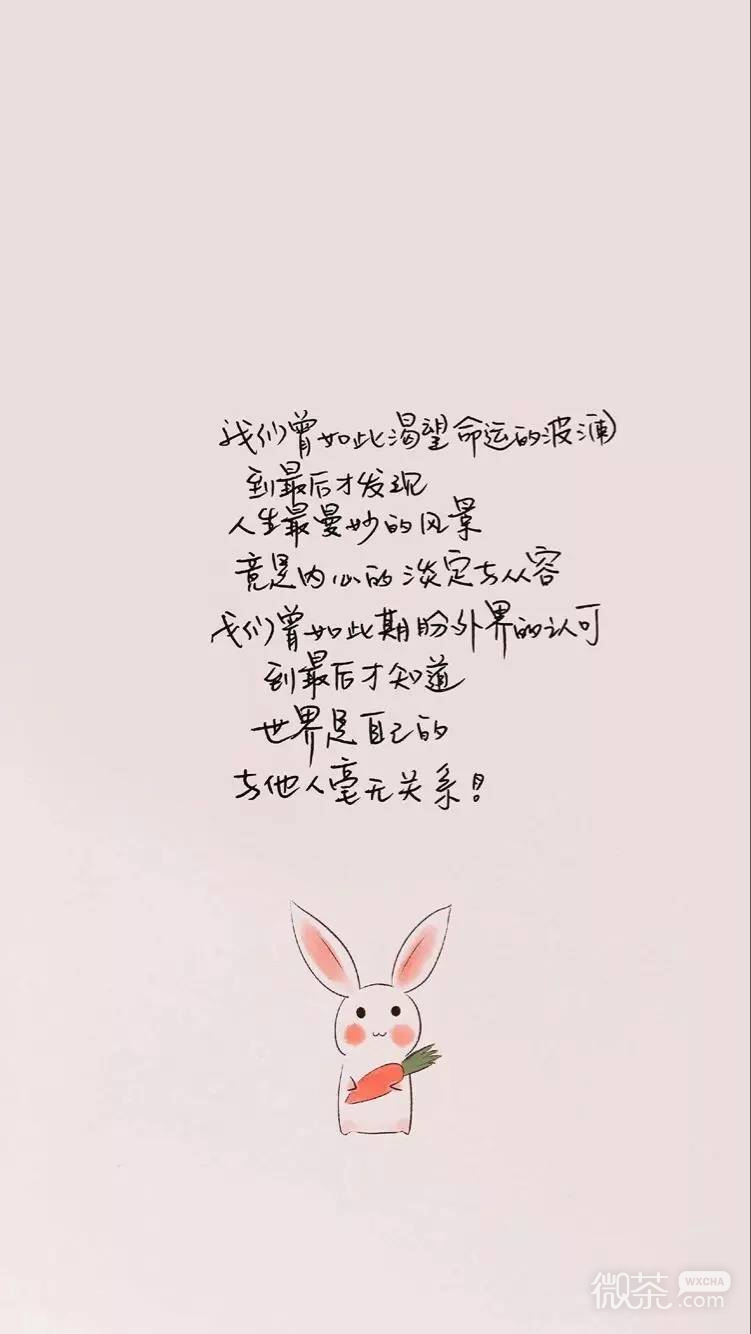唯美个性的微信晚安语录图片下载