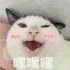 无奈微信恶搞群聊杂图表情包