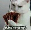 无奈微信恶搞群聊杂图表情包